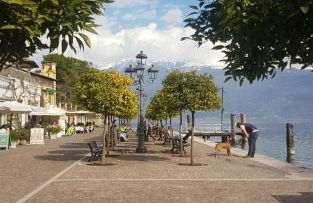 Al Lago da Lilly - Foto 9