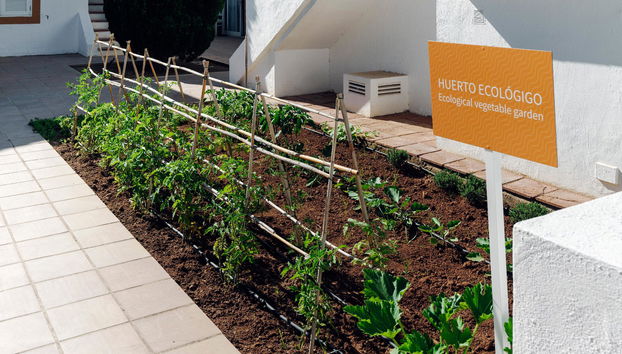 Alua Lago Park - Foto 3