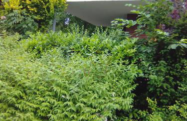 Raben Steinfeld Forststrasse Am Residence-Park - Foto 20