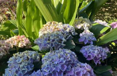 Golf Holiday House - Appartamento con soggiorno e due camere da letto - Foto 14