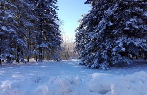 HOME L'UPUPA AMIATA - Foto 52