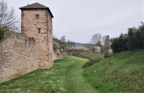 Gite spacieux et chaleureux 8p, route des vins - Foto 25