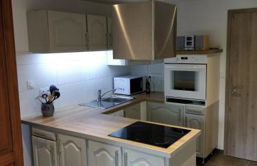 Maison des écluses Strasbourg F3 90m2 Jacuzzi Climatisation - Foto 15