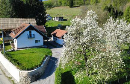 Apartma Laganini - Foto 1