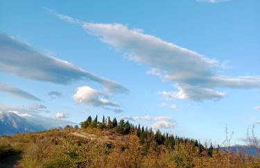 Rooster Retreat - Foto 25