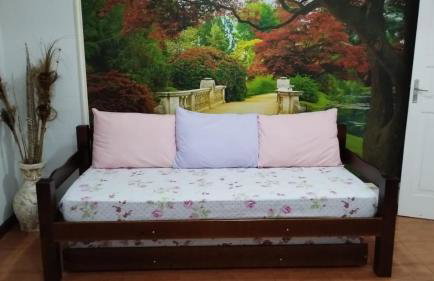 Casa em Petrópolis - Foto 2