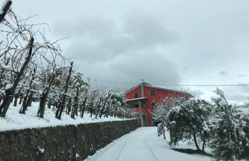 Agriturismo Terra Verde - Foto 17