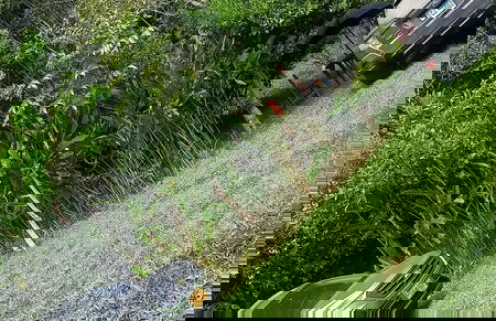 Skale peregrino ecolodge - Foto 22