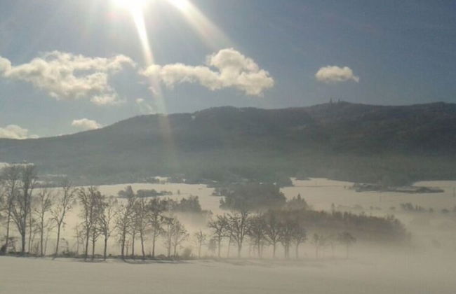 Holiday Apartment Tulpe Schuniglhof - Foto 14