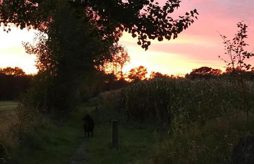 Ferienwohnung am Komisenpad - Foto 20