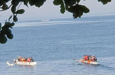 Andorinhas "Mini casa de hóspede" - Foto 48