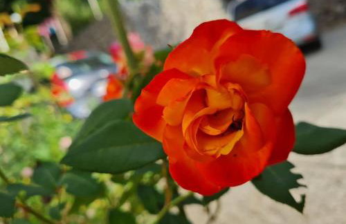 Zgora mora-above the sea-peacefull,family frendly - Foto 28