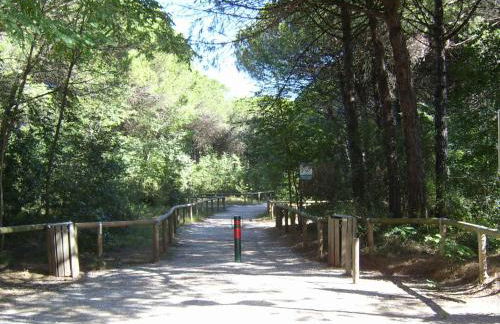 Holiday home in Eraclea Mare 25698 - Foto 24