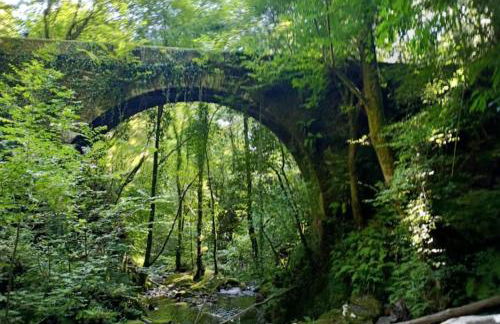 Adiva Praia Miño - Foto 37