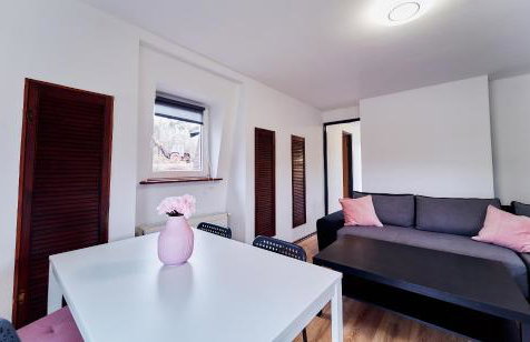 Domki Nad Stawami Apartament - Foto 37