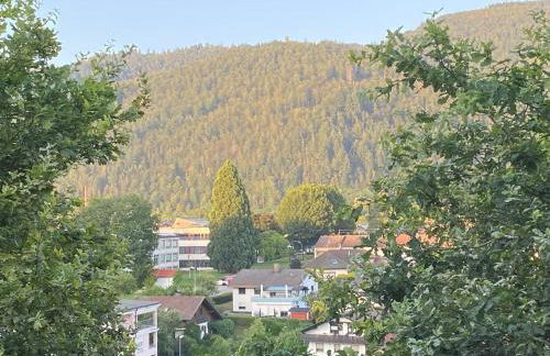 Apartment Bärenfelsblick - Foto 11