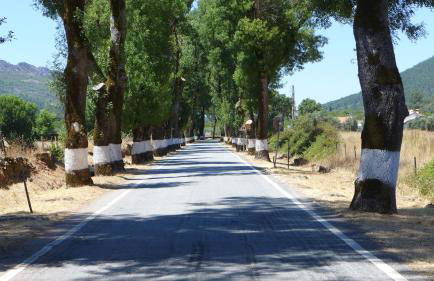 Casa da Rua Nova - Foto 34