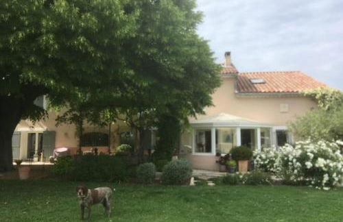 Stunning property between Alpilles and Luberon - Foto 37