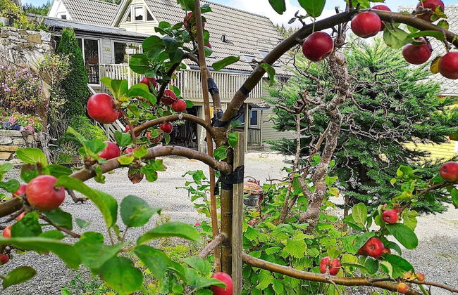 Seaside Fisherman s Haven-by Traum - Foto 68