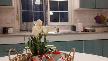 Eleftheria Apartments Kassandra - Foto 4