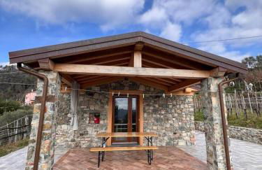 La Madonnina-house in the Bolano vineyard - Foto 17