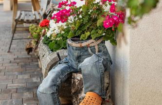 Schweiggerhof -Agriturismo- Farm Holidays - Foto 39