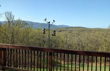 Shenandoah Thunder Chalet Guest Suite - Foto 71