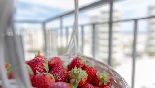 GuestHost - Lido degli Estensi Seaview Apartment - Foto 3, Other