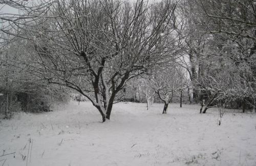 Luggs Barn - Beautiful Devon Hideaway - Photo 46