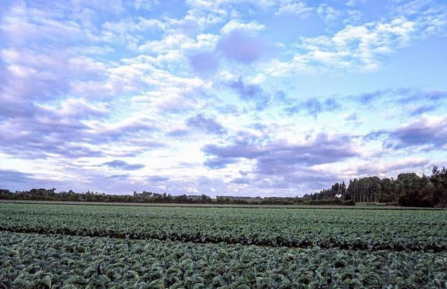 Peaceful Retreat Near Zeeland Beach - Photo 31