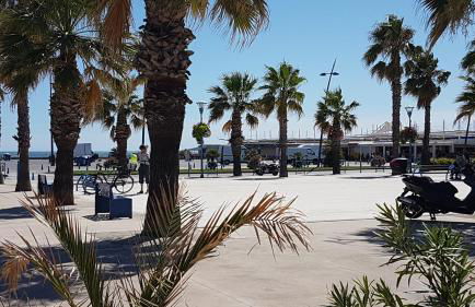 BAMBOU NATURE - Foto 24