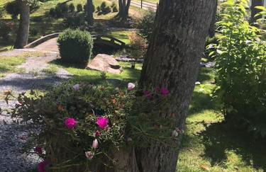 Petting Zoo! Hot Tub, 15 acres, stream & Romance! - Foto 32