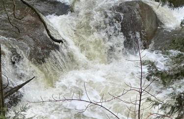 BunkHouse 1960's Camp Vibe with Timeless Wet Bar - Foto 19