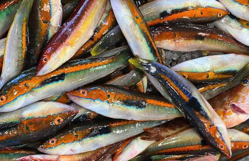 A Casa da Mammi - Foto 21