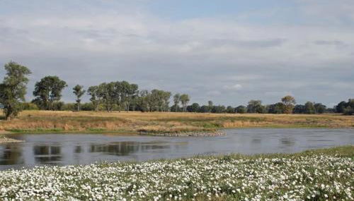 Ruhiges, sehr schönes Haus/Grundstück in Elbnähe. - Foto 4