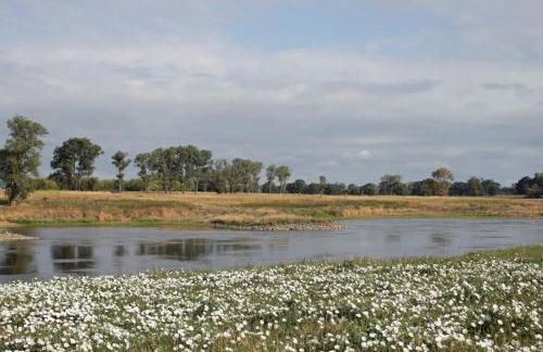 Ruhiges, sehr schönes Haus/Grundstück in Elbnähe. - Foto 4