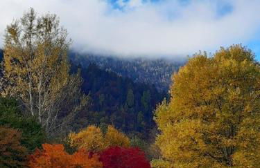 Casa Vacanze Tel 121 - Foto 11