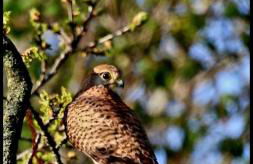 Oak View at Moss Bank Farm - Foto 26