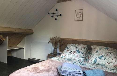 Studio au cœur du sancy - Foto 1