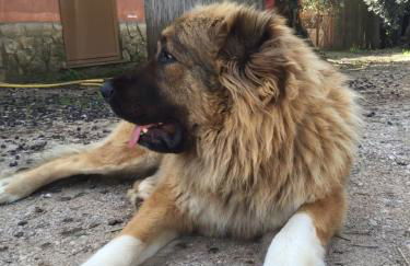 I Giardini Di Margius - Foto 73