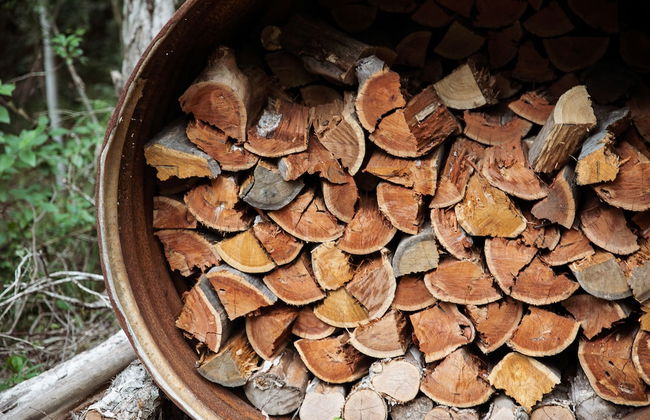 Carawirry Forest Escape - Foto 48