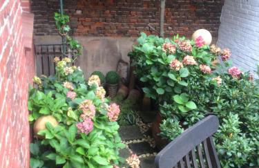 Haus Rothenstein, ruhige FeWo, ca. 10 min. zu Messe und Flughafen - Photo 29