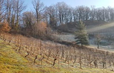 Ferienwohnungen an der Bosel - Foto 20