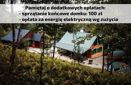Świerkowe Zacisze Domki - Foto 31