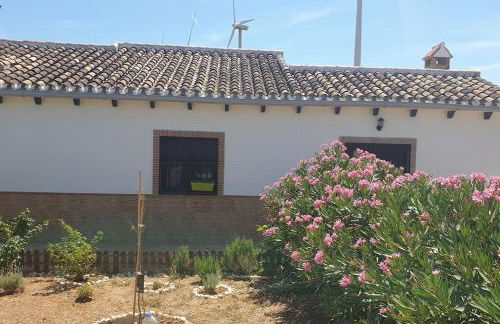 Finca Rustica Los Gamonales - Foto 38