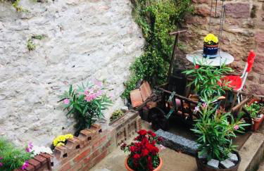 Natur und Neckarblick bei Heidelberg - Photo 57