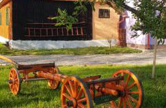 Propolis house - Foto 34