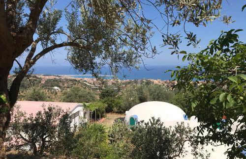 Giardino di Sicilia - Foto 39