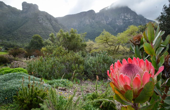 More Quarters Hotel - Photo 31