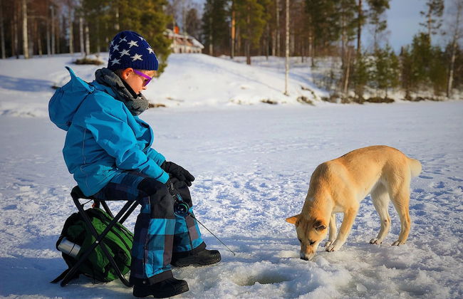 Vildmarks Lodge - Photo 41